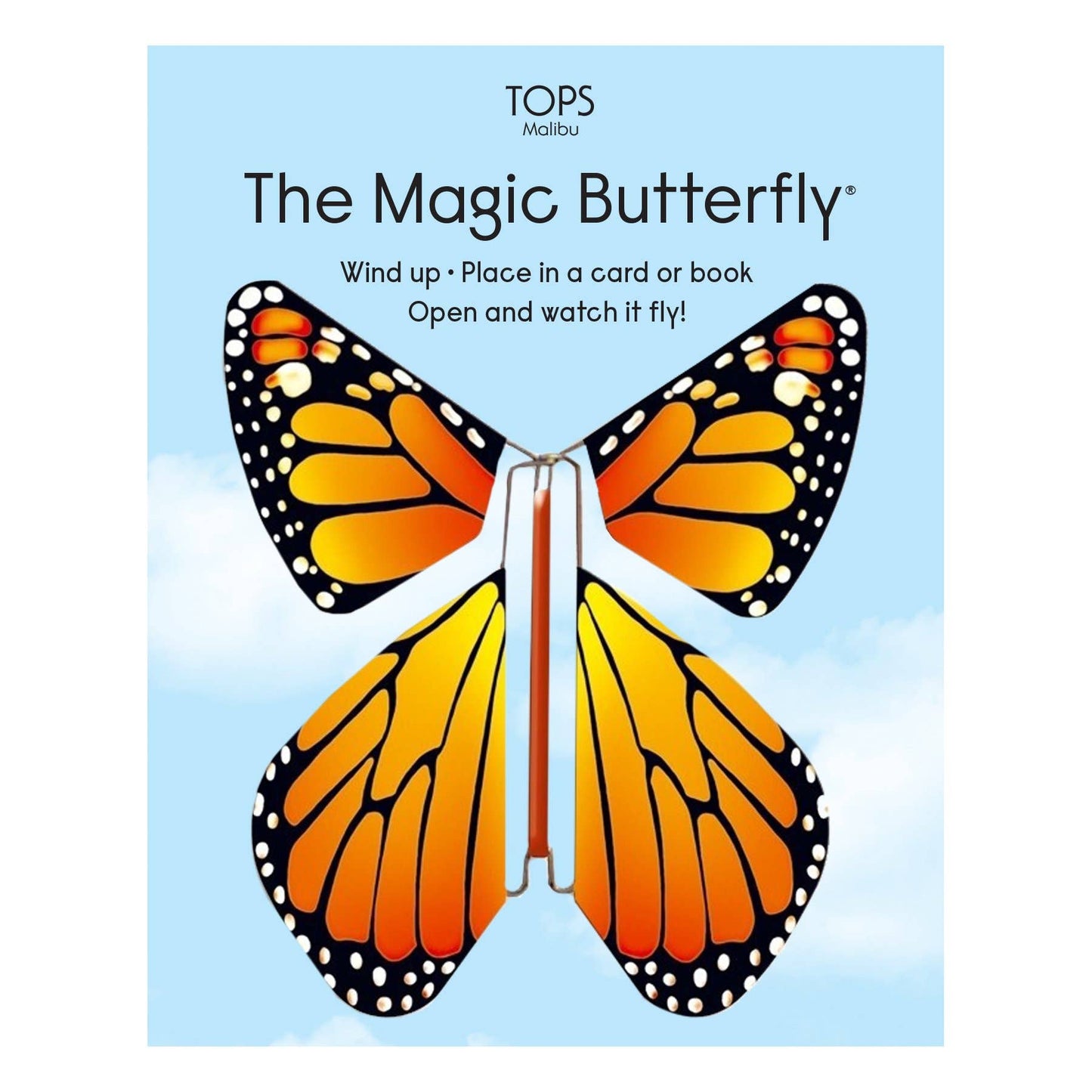 Rainbow Flying Magic Butterfly