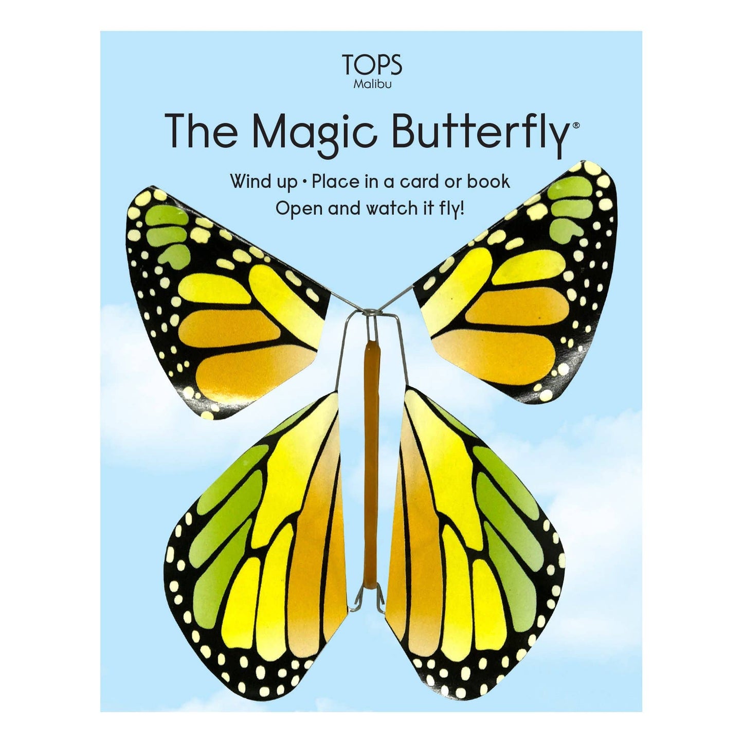 Rainbow Flying Magic Butterfly