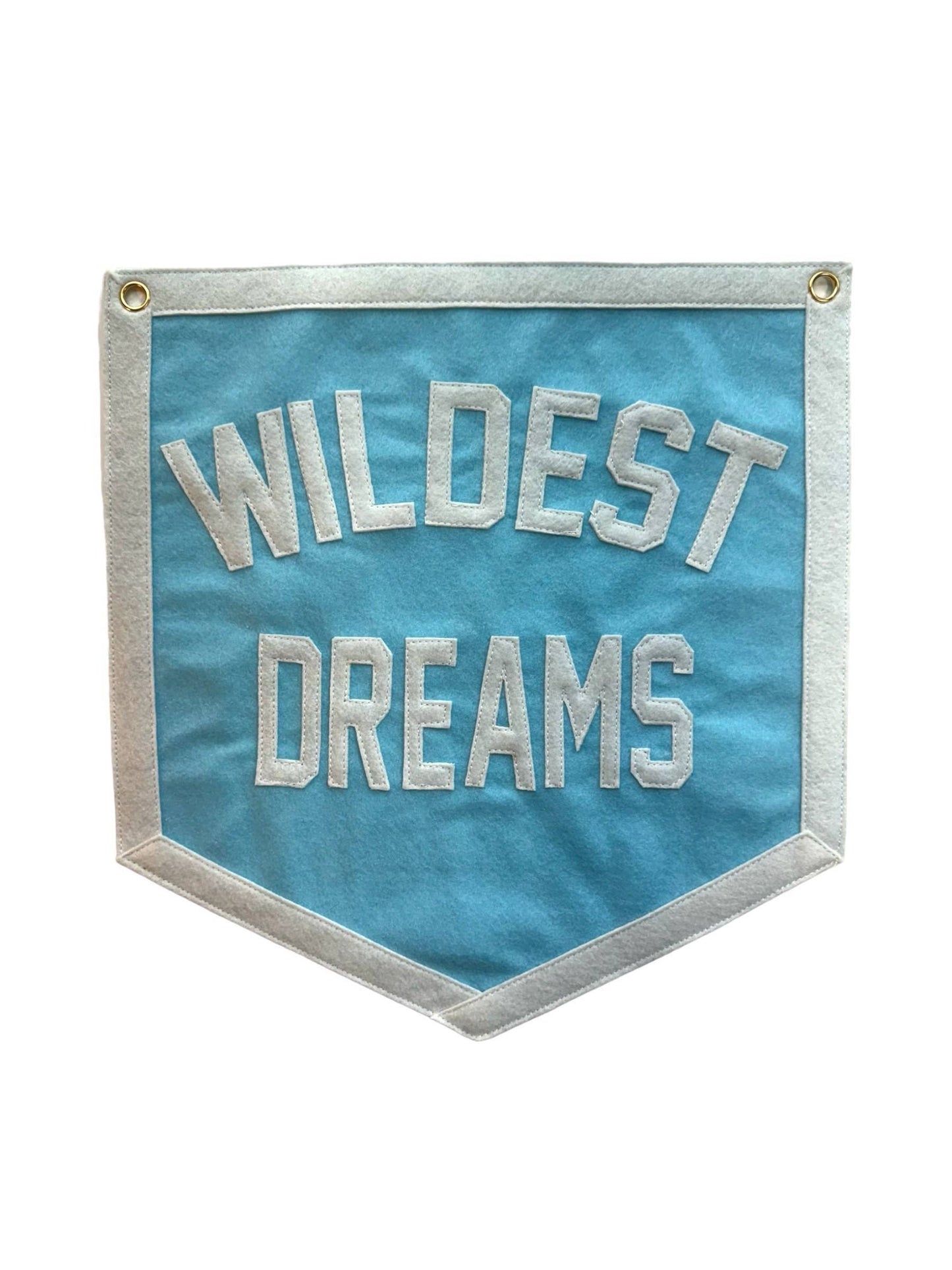 T Swift Wildest Dreams Wall Banner