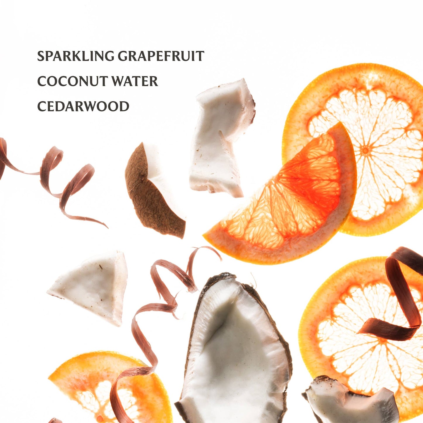 Beach Coco Power Mist Hand Sanitizer