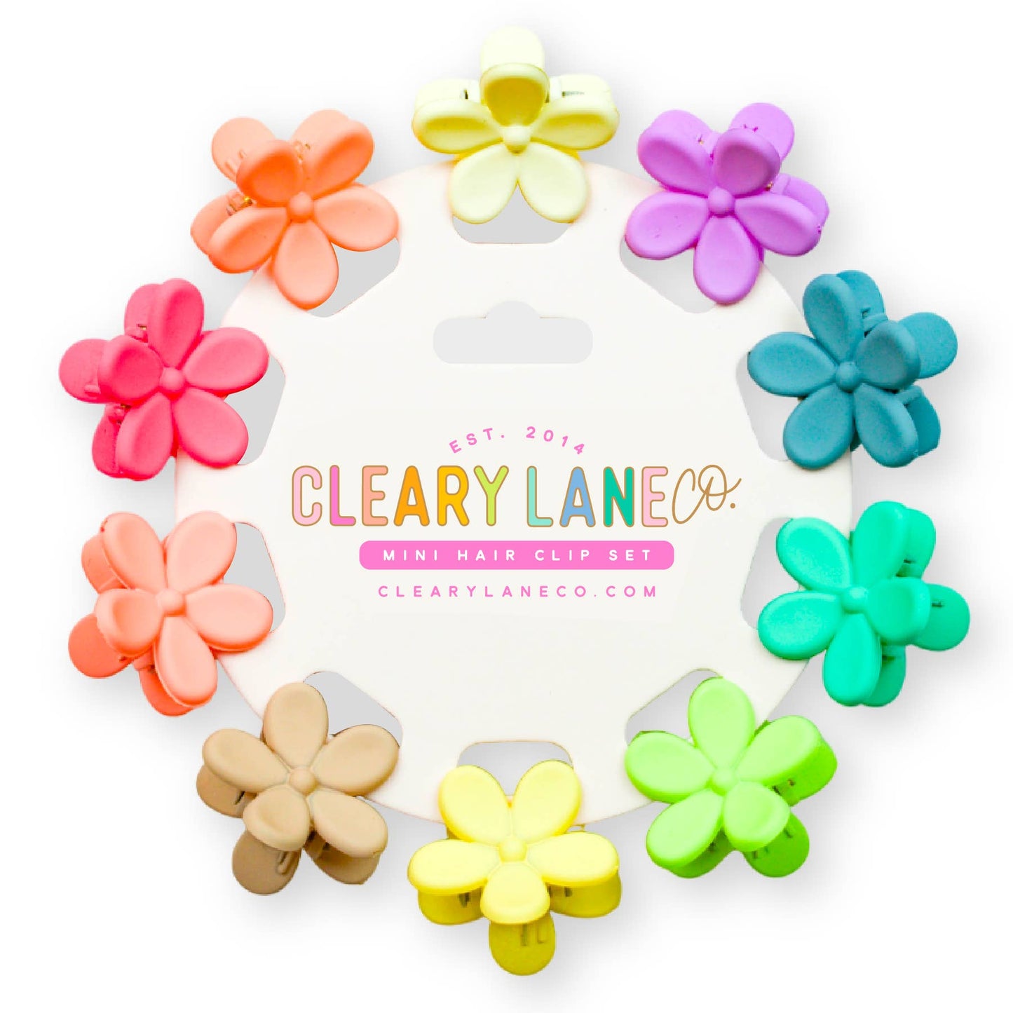 Mini Hair Clip Set | Rainbow Speckled Flowers #2