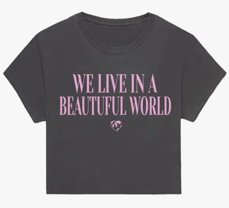 Beautiful World Crop T Shirt