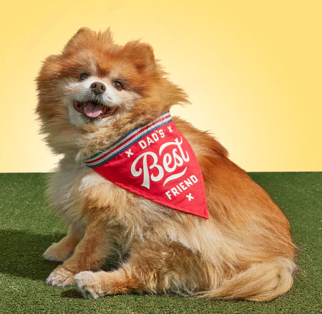 Dad's Best Friend Bandana