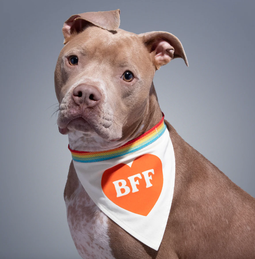 BFF Dog Bandana