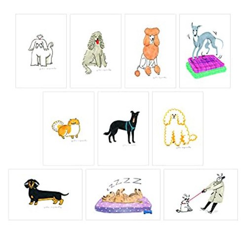 Dog Box 100 Postcard Set