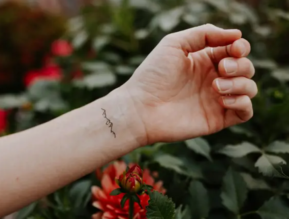Eucalyptus, Daisy, & Mountain Temporary Tattoo Set