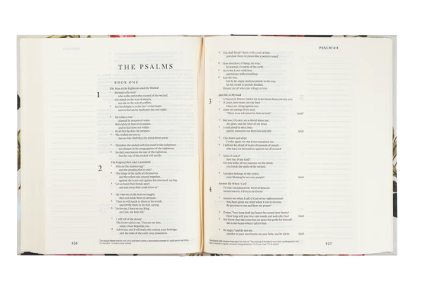 ESV Journaling Bible | Paris Theme