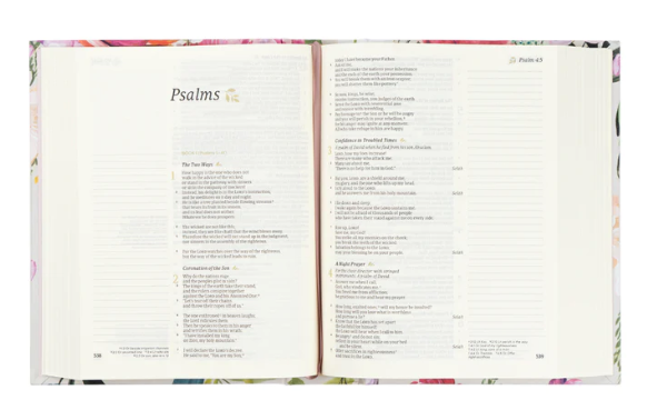 CSB Note Taking Bible | Charlotte Theme