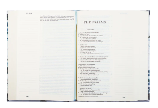 ESV Large Print Journaling Bible | Victoria Theme
