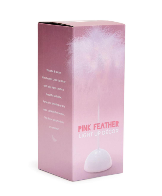 Pink Feather Light Up Room Decor