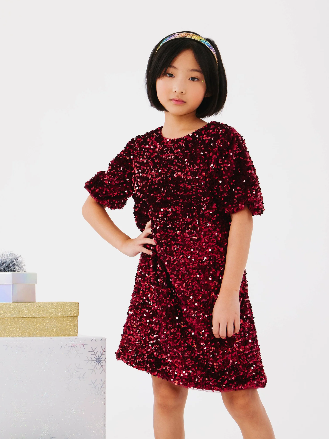 Shimmer Holly Party Dress