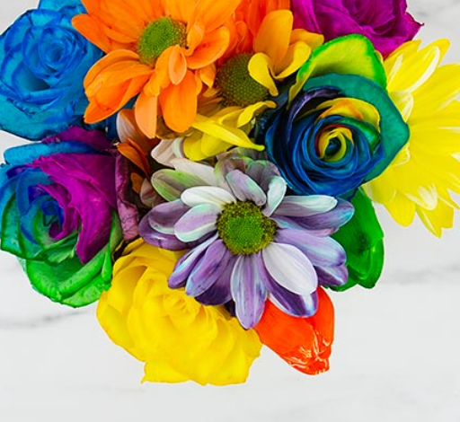 DIY Rainbow Flowers Kit