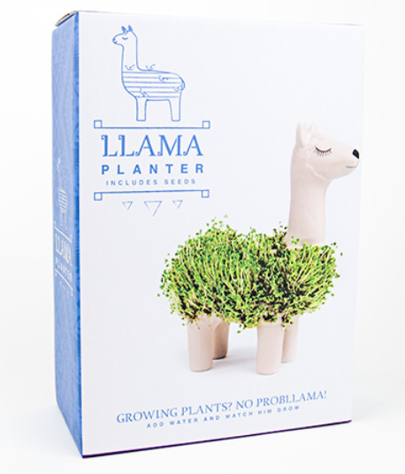 Llama Planter w/Seeds