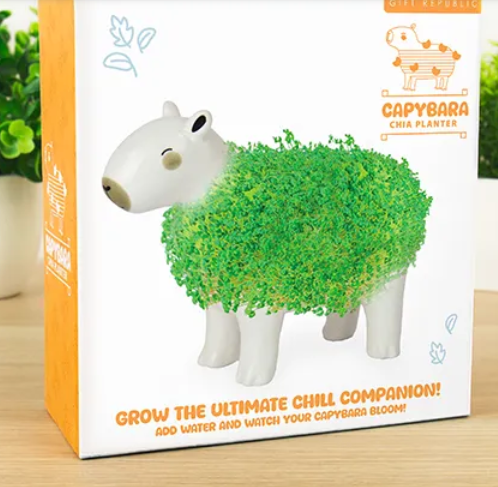 Capybara Chia Planter