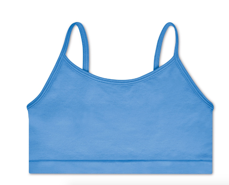 Bright Blue Bralette