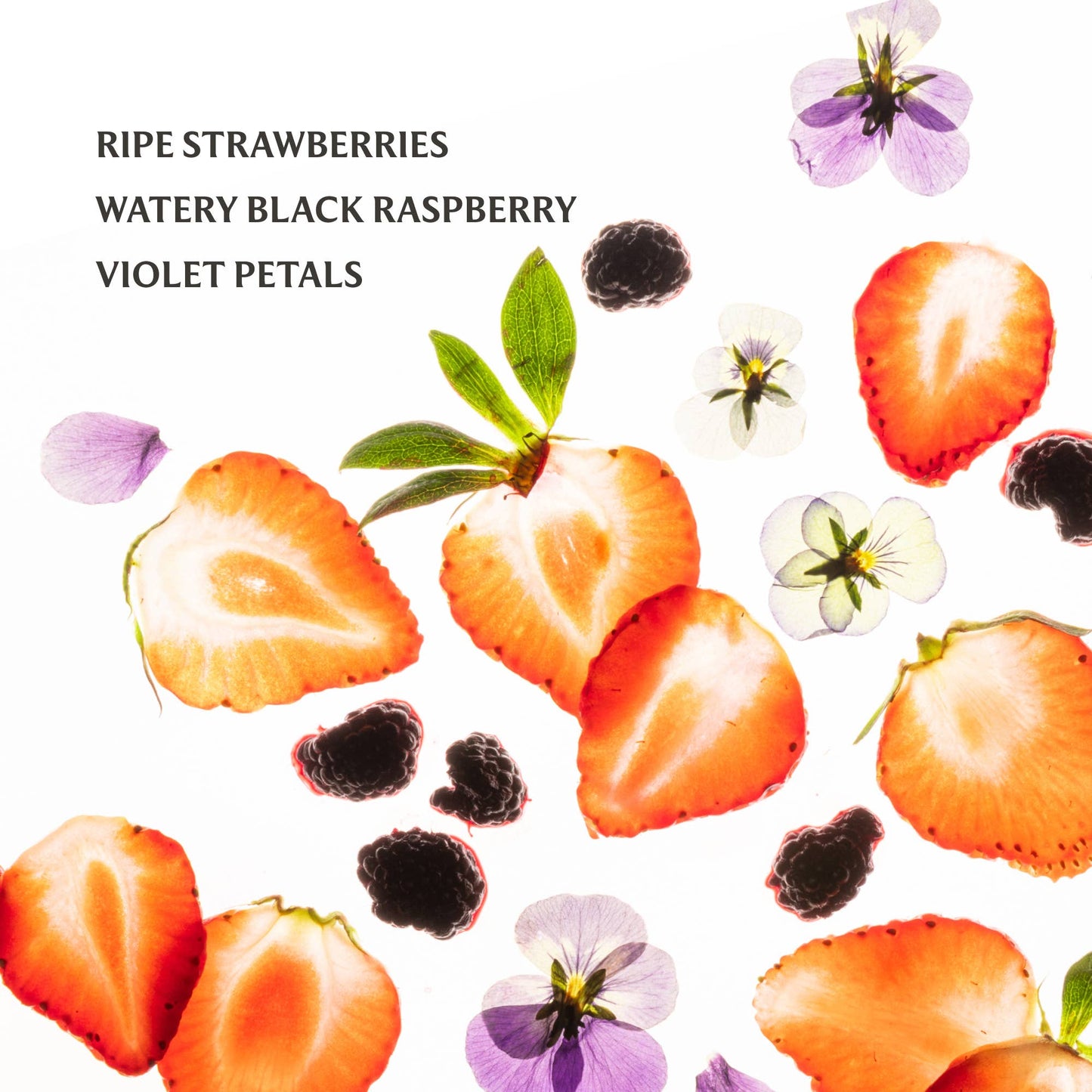 Berry Bliss Power Mist Hand Sanitizer