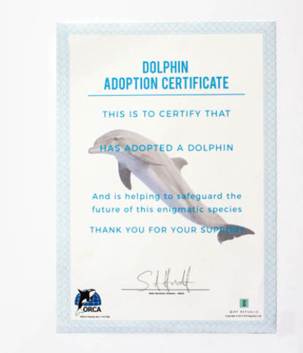 Adopt a Dolphin