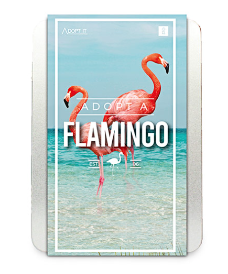 Adopt a Flamingo
