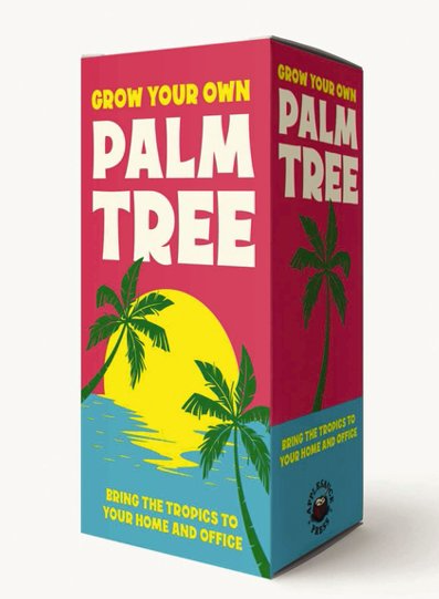 Grow Your Own Palm Tree Kit