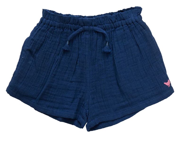 Navy Theodore Shorts