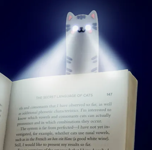 Cat Book Light