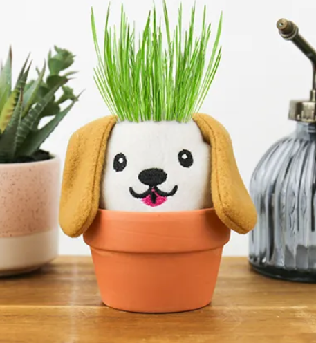 Dog Grow Pal