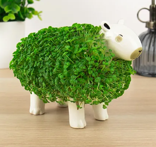 Capybara Chia Planter