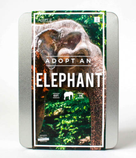 Adopt an Elephant