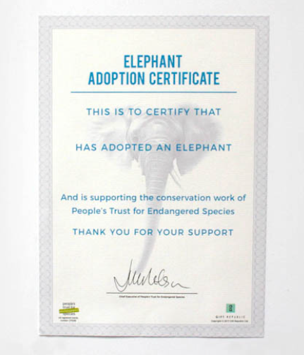 Adopt an Elephant