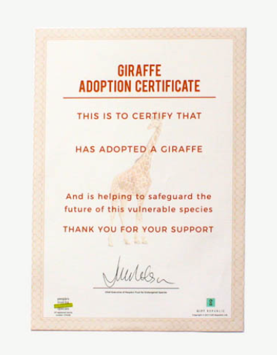 Adopt a Giraffe