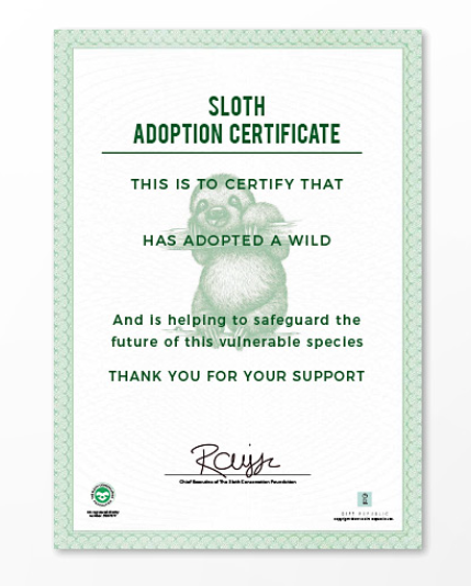 Adopt a Sloth