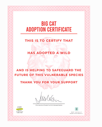 Adopt a Big Cat