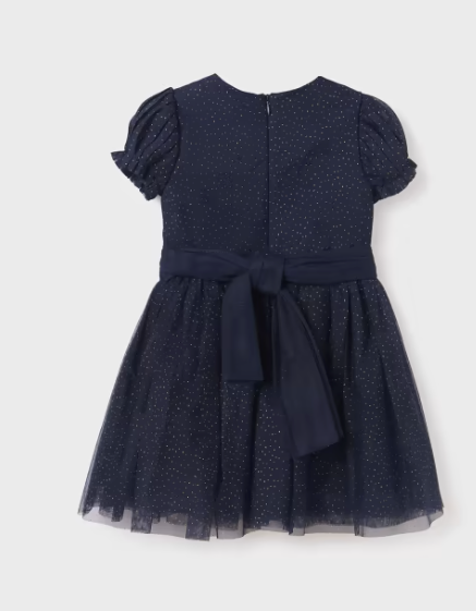 Navy Shimmer Tulle Dress | 5534