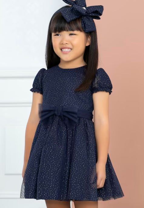 Navy Shimmer Tulle Dress | 5534